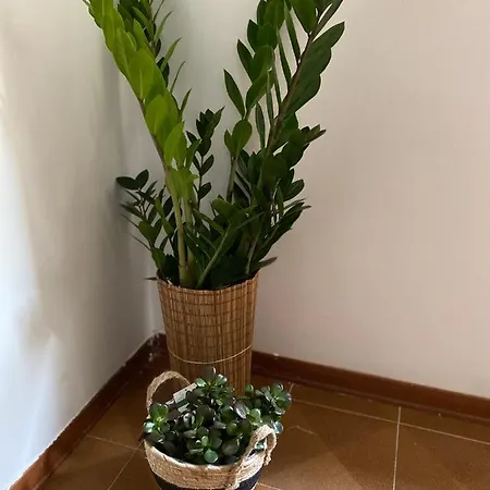 Apartment Mari Giardini-Naxos